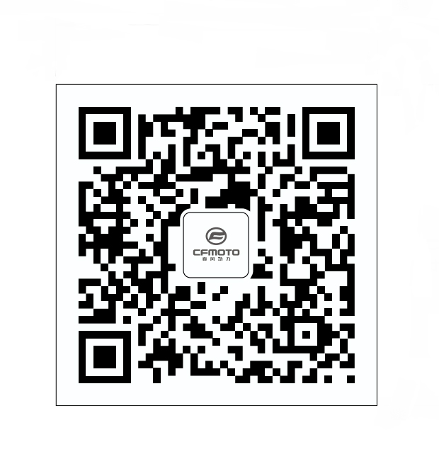 F19-B - QR CODE LABEL