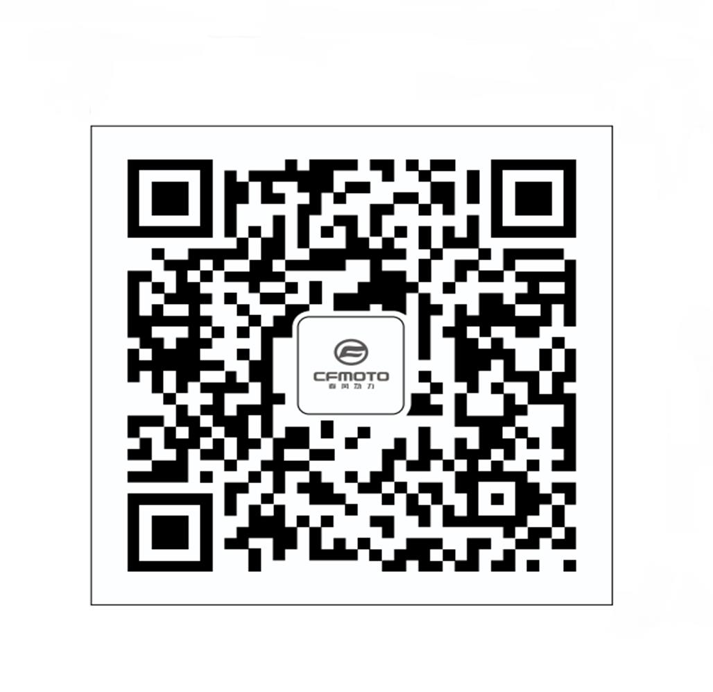F19-B - QR CODE LABEL