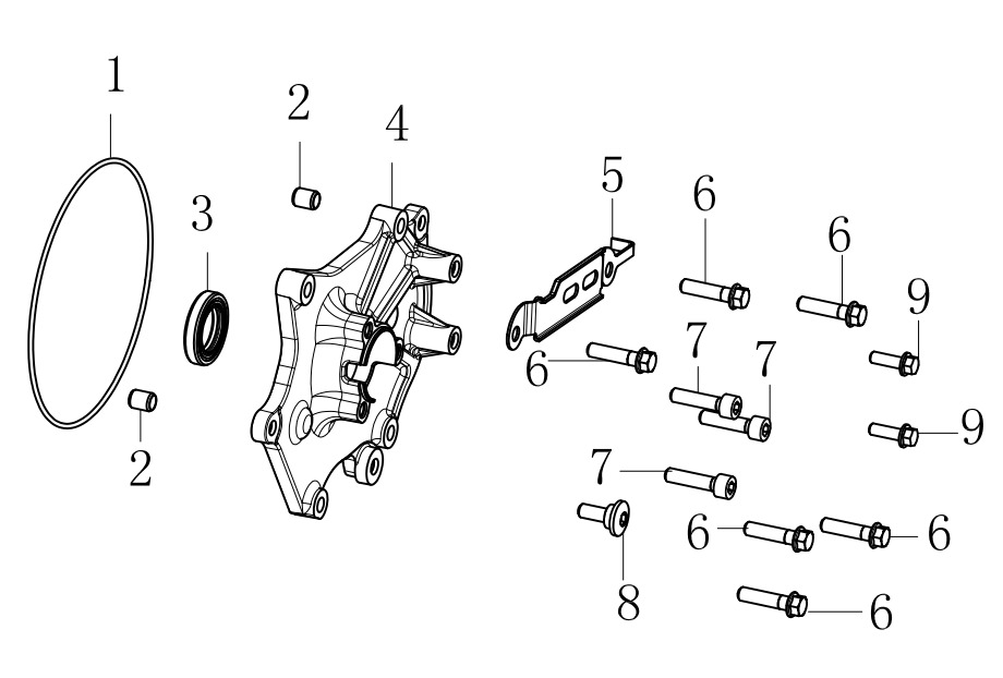 E05 - RIGHT CRANKCASE COVER