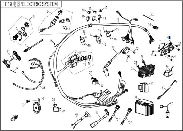 F19 - ELECTRIC SYSTEM
